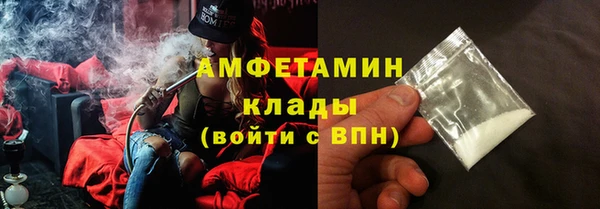 гидра Бородино