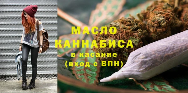 гидра Бородино