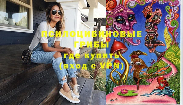 гидропоника Бугульма