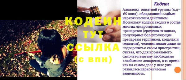 гидра Бородино