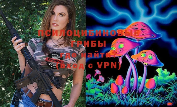 mdpv Богородск