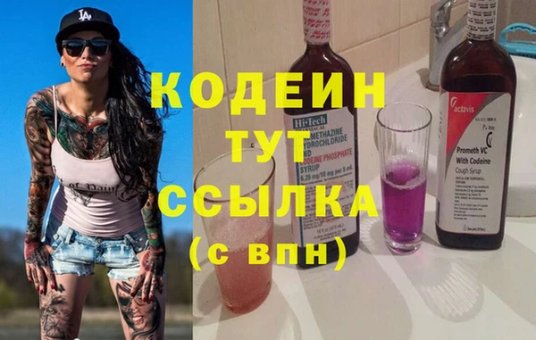 гидра Бородино