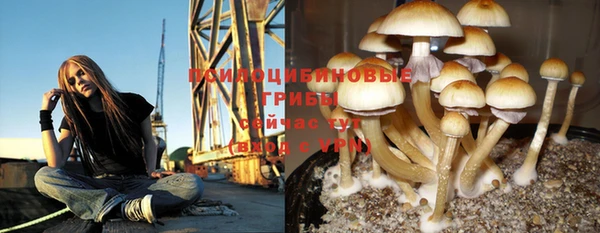 бутират Ростов