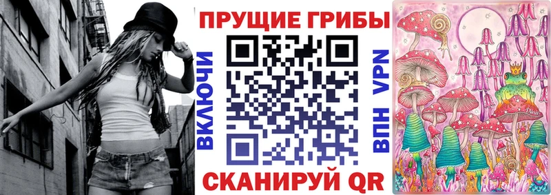 Псилоцибиновые грибы Psilocybe  Купить где  Шелехов 